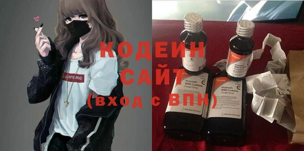прущий лед Бородино