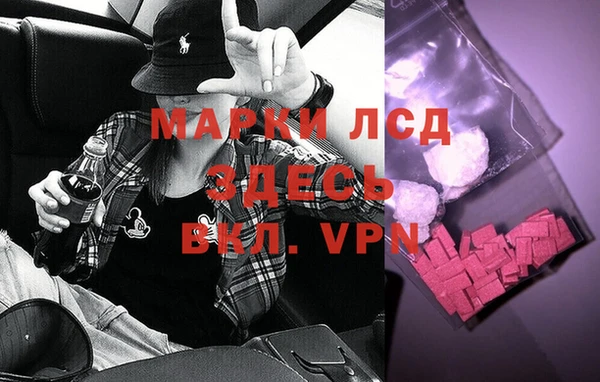 прущий лед Бородино