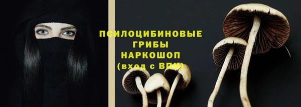 прущий лед Бородино