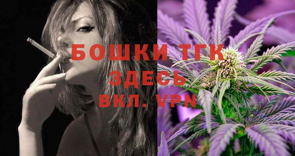 прущий лед Бородино