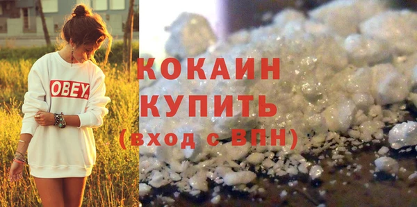 прущий лед Бородино