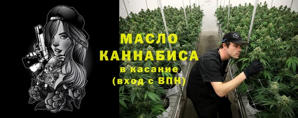 прущий лед Бородино