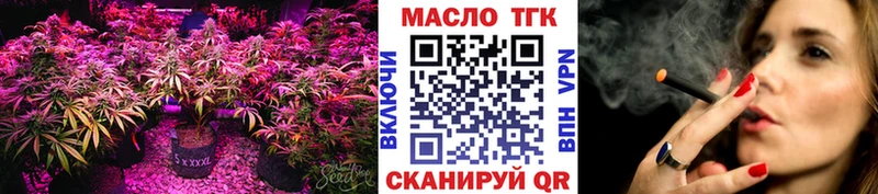 Купить где Шилка ТГК концентрат